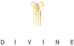 Divine  brand logo
