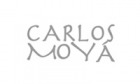 Carlos Moya  brand logo