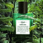 Kiehl`s Forest Rain