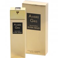 Alyssa Ashley Ambre Gris