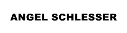 Angel Schlesser  brand logo