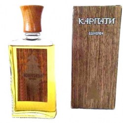 Львов Карпаты