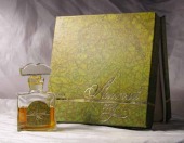 Северное сияние Летний сад