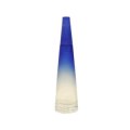 Issey Miyake Lune d`Issey foto-small