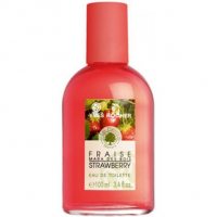 Yves Rocher Les Plaisirs Nature Fraise Mara des Bois