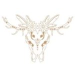 Gypsy Story  brand logo