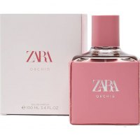 Zara Orchid