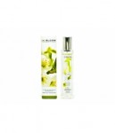 Marks and Spencer Lime Blossom and Bergamot