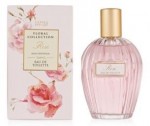 Marks and Spenc Floral Collection. Rose. Rosa Centifolia.