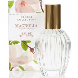 Marks and Spencer Floral Collection Magnolia