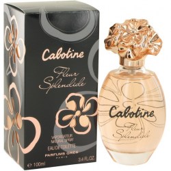 Gres Cabotine Fleur Splendide