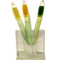 Pupa Jaune Solaire