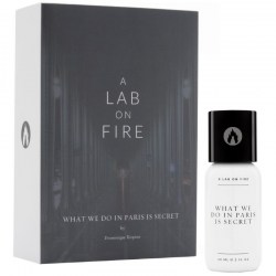 A Lab on Fire What We Do In Paris Is Secret