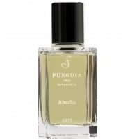 Fueguia 1833 Amalia foto-small
