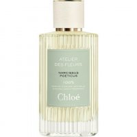 Chloe Atelier des Fleurs Narcissus Poeticus foto-small