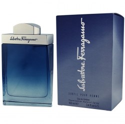 Salvatore Ferragamo Subtil Pour Homme foto-small