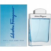 Salvatore Ferragamo Subtil Pour Homme Fresh foto-small